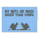 nuts, nutz, squirrels, funny, humour, humor,