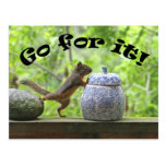 Funny Squirrel Picture ~ Go For It! Postcard