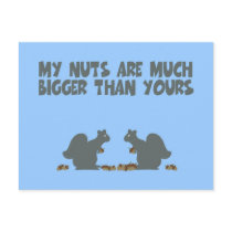 Funny squirrel postcards by LIMEYBOY Funny squirrel postcards