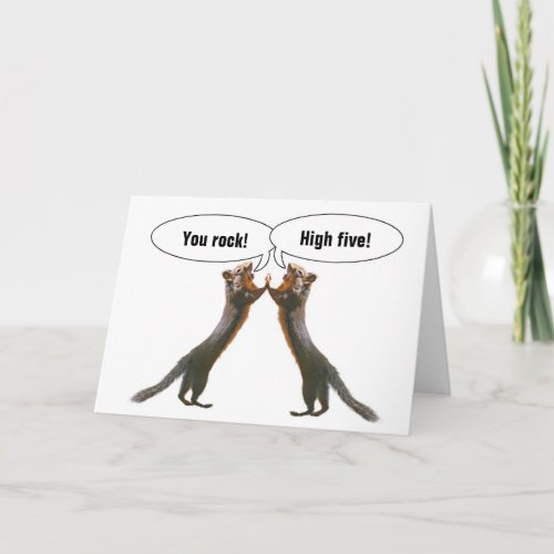 Funny Squirrels High Five Cards