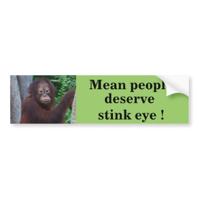 Funny Stink Eye Bumper Stickers by Rebecca Reeder