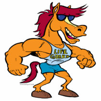 funny stud stallion horse cartoon photo cutout