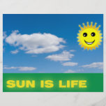 Funny sun flyer