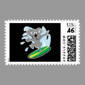 funny surfing koala bear
