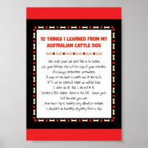 Funny Things I Learned From Australian Cattle Dog Poster