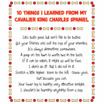Funny Things I Learned From Cavalier King Charles Photo Sculpture