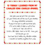 Funny Things I Learned From Cavalier King Charles Photo Sculpture