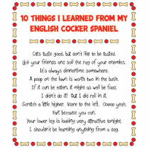 Funny Things I Learned From English Cocker Spaniel Cut Out