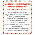 Funny Things I Learned From Mexican Hairless Dog Photo Sculpture