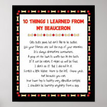 Funny Things I Learned From My Beauceron Posters