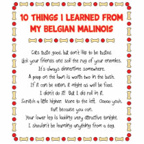 Funny Things I Learned From My Belgian Malinois Cut Out