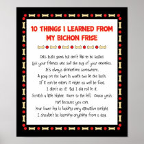 Funny Things I Learned From My Bichon Frise Posters