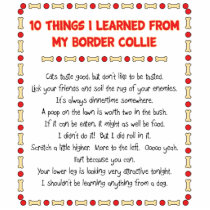 Funny Things I Learned From My Border Collie Photo Sculpture