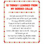 Funny Things I Learned From My Border Collie Photo Sculpture