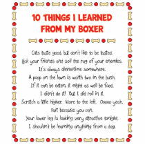 Funny Things I Learned From My Boxer Photo Cutouts