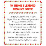 Funny Things I Learned From My Boxer Photo Cutouts