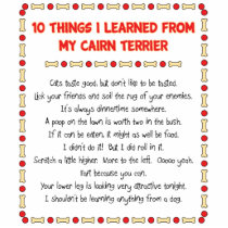 Funny Things I Learned From My Cairn Terrier Photo Sculptures