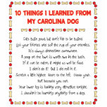 Funny Things I Learned From My Carolina Dog Photo Cutout