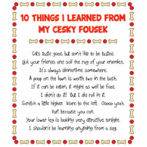 Funny Things I Learned From My Cesky Fousek Photo Cut Outs