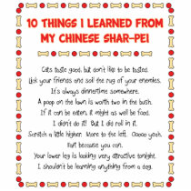 Funny Things I Learned From My Chinese Shar-Pei Acrylic Cut Outs