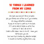 Funny Things I Learned From My Corgi t-shirts