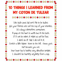 Funny Things I Learned From My Coton de Tulear Cut Outs