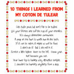 Funny Things I Learned From My Coton de Tulear Cut Outs