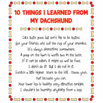 Funny Things I Learned From My Dachshund Acrylic Cut Outs