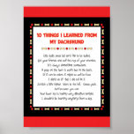 Funny Things I Learned From My Dachshund Poster