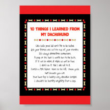 Funny Things I Learned From My Dachshund Poster