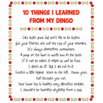 Funny Things I Learned From My Dingo Photo Cutouts