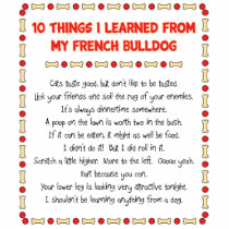 Funny Things I Learned From My French Bulldog Photo Sculptures
