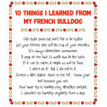 Funny Things I Learned From My French Bulldog Photo Sculptures
