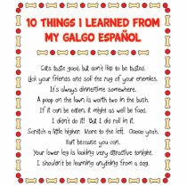 Funny Things I Learned From My Galgo Español Photo Cutout