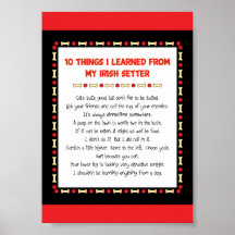 Funny Things I Learned From My Irish Setter Poster