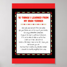 Funny Things I Learned From My Irish Terrier Posters