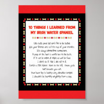 Funny Things I Learned From My Irish Water Spaniel Posters