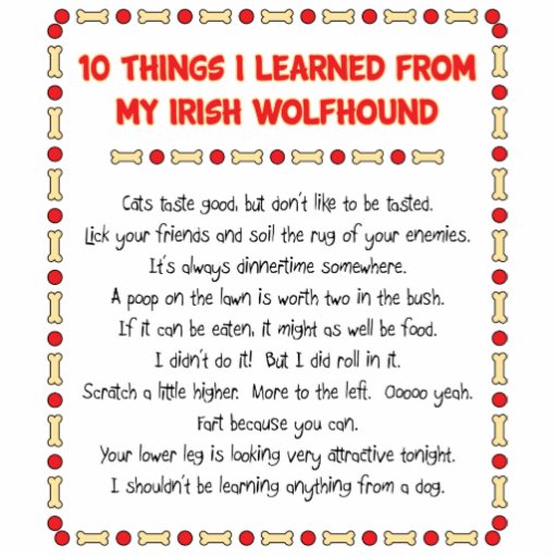 Funny Things I Learned From My Irish Wolfhound Photo Cut Out