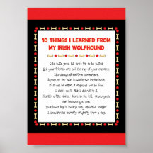Funny Things I Learned From My Irish Wolfhound Print