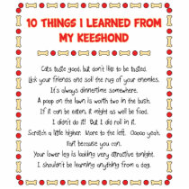 Funny Things I Learned From My Keeshond Photo Sculpture