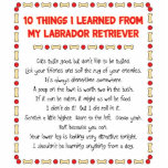 Funny Things I Learned From My Labrador Retriever Acrylic Cut Outs