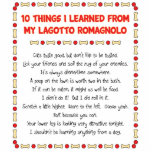Funny Things I Learned From My Lagotto Romagnolo Acrylic Cut Outs