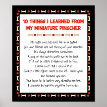 Funny Things I Learned From My Miniature Pinscher Print