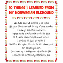 Funny Things I Learned From My Norwegian Elkhound Photo Sculpture