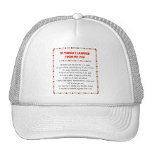 Funny Things I Learned From My Pug Mesh Hat
