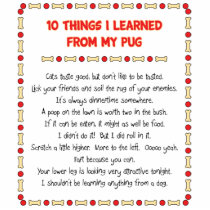 Funny Things I Learned From My Pug Photo Cutouts