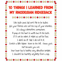 Funny Things I Learned From My Rhodesian Ridgeback Photo Sculptures