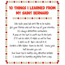 Saint Bernard Poop