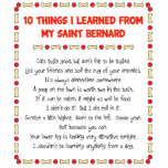 Funny Things I Learned From My Saint Bernard Photo Sculpture