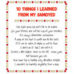 Funny Things I Learned From My Samoyed Cut Outs